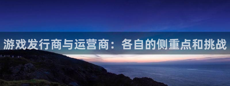 TP钱包官方技术支持：游戏发行商与运营商：各自的侧重点和挑战
