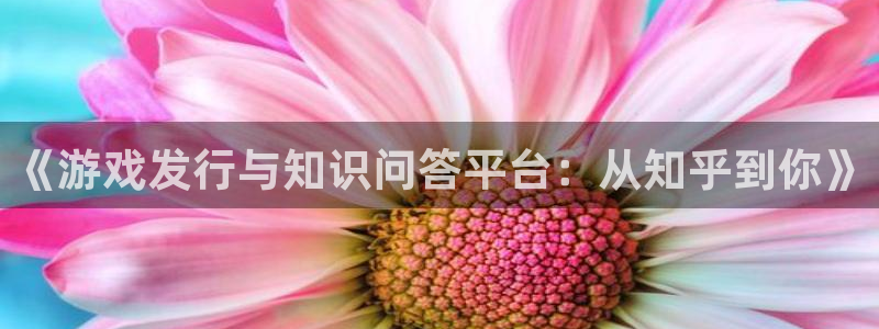 TP数字钱包里的AAV什么意思：《游戏发行与知识问答平台：从知乎到你》