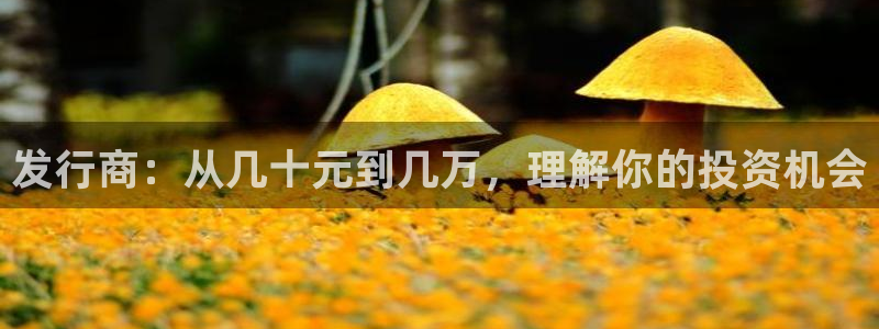 tp钱包怎么添加合约：发行商：从几十元到几万，理解你的投资机会