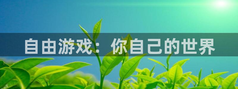 安卓下载tp钱包：自由游戏：你自己的世界