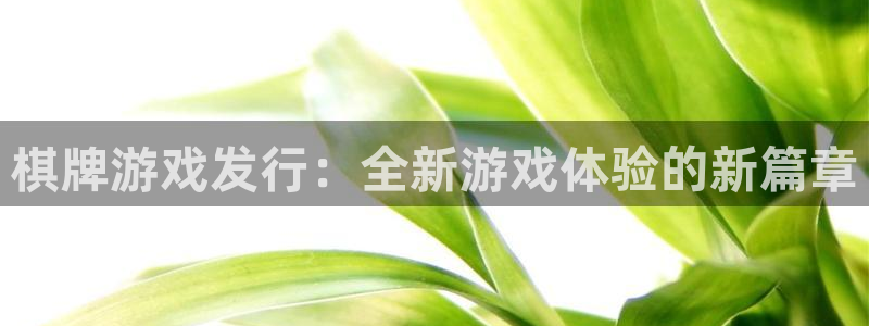 tp钱包如何买htmoon：棋牌游戏发行：全新游戏体验的新篇章