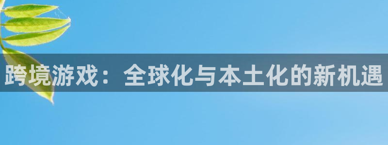 TP钱包被盗咋办?