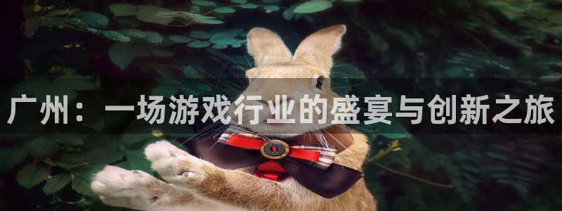 tp钱包观察钱包怎么用：广州：一场游戏行业的盛宴与创新之旅