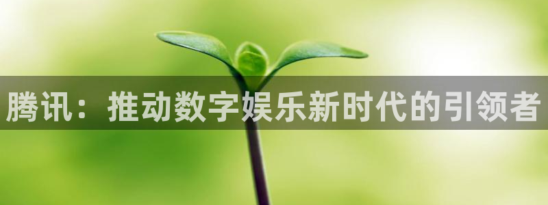 tp im钱包