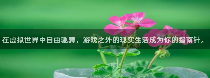 TP钱包官方网站登录入口：在虚拟世界中自由驰骋，游戏之外的现实生活成为你的指南针。